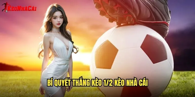Kèo 1/2 Phổ Biến - Giải Mã Cùng Kèo Nhà Cái 2 Bí Quyết Thắng Kèo 1/2 Kèo Nhà Cái